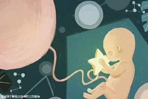 同性借卵代怀服务收费标准